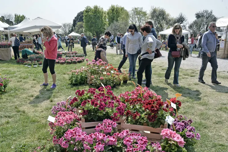 Fiori nella rocca a Lonato