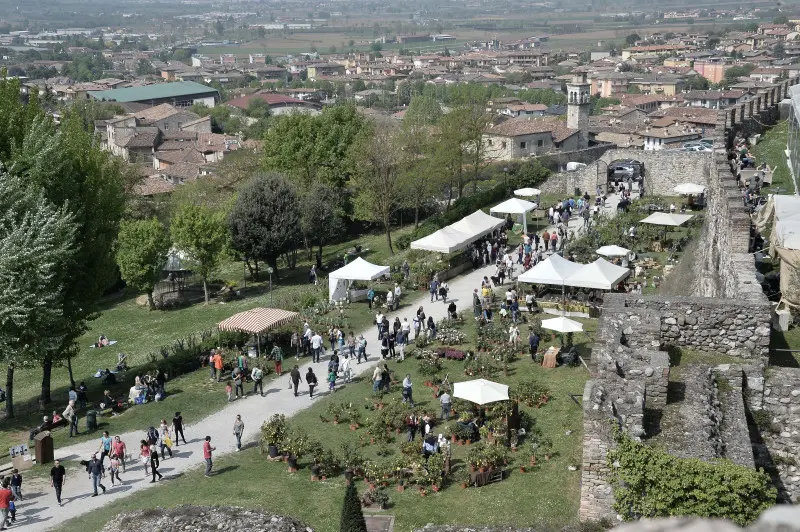 Fiori nella rocca a Lonato