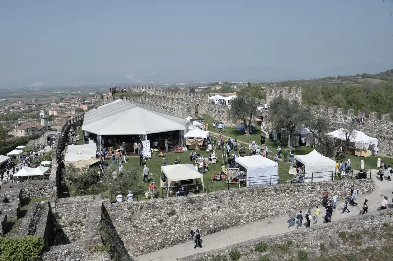 Fiori nella rocca a Lonato