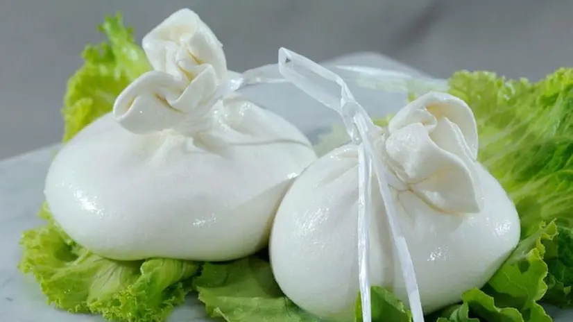 Mozzarelle da degustazione