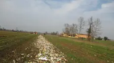 I rifiuti sul campo a Pavone Mella