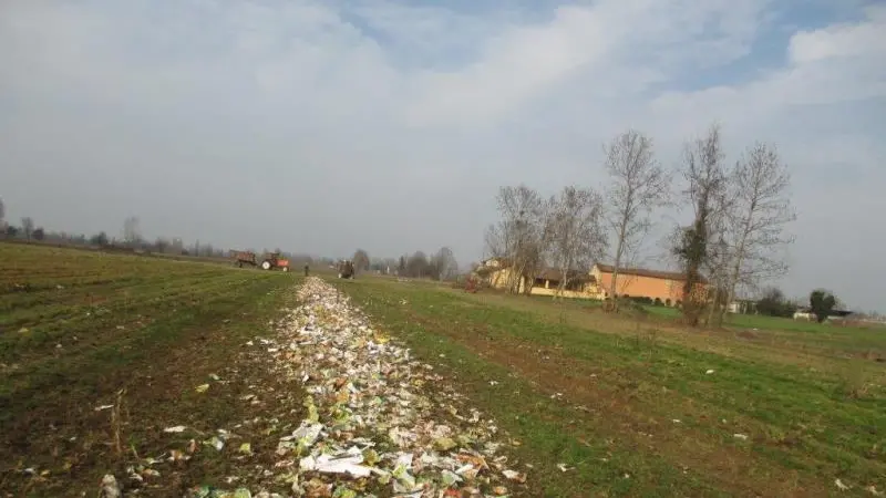 I rifiuti sul campo a Pavone Mella