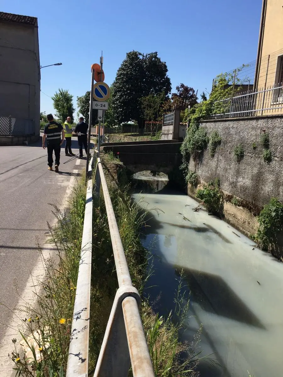 Moria di pesci ad Alfianello