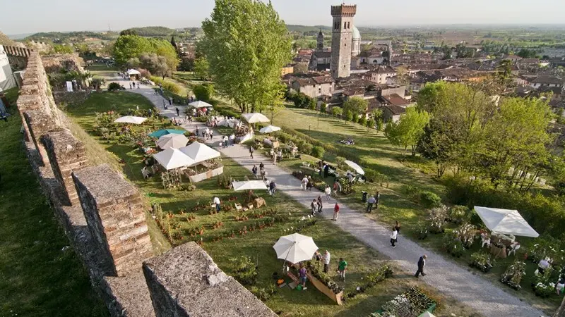 A Lonato Fiori nella Rocca