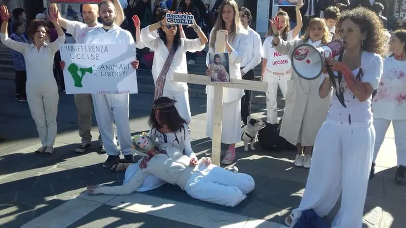 Il blitz delle Iene Vegane