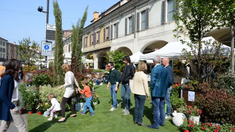 Brixia Florum, domenica perfetta