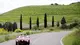 Mille Miglia a San Quirico