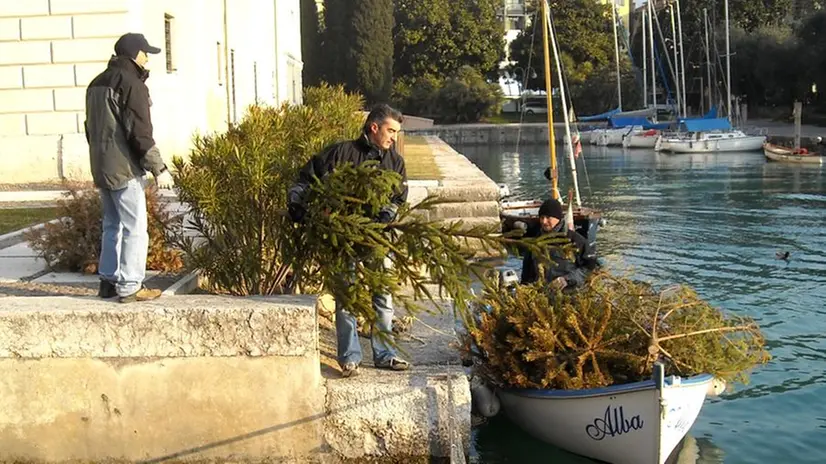 L'albero di Natale diventa nursery