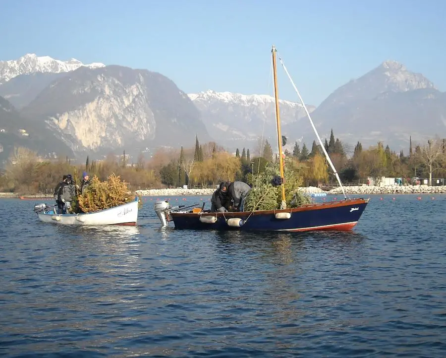 L'albero di Natale diventa nursery