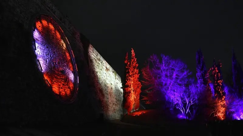 Le fotografie premiate nel contest di Zoom per CidneOn