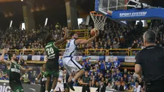 La vittoria della Germani Basket contro Avellino