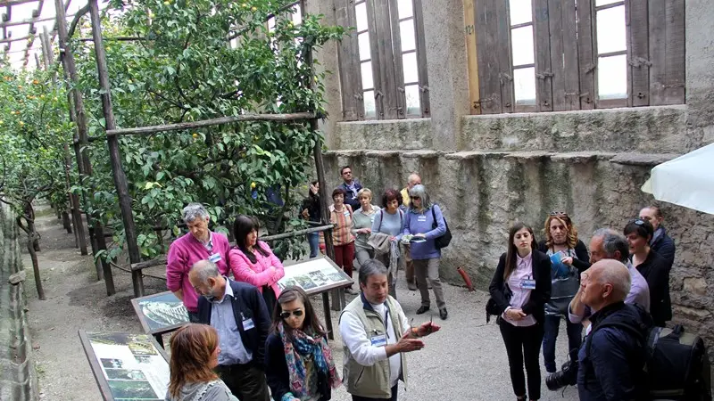 Viste turistiche alla limonaia di Tignale