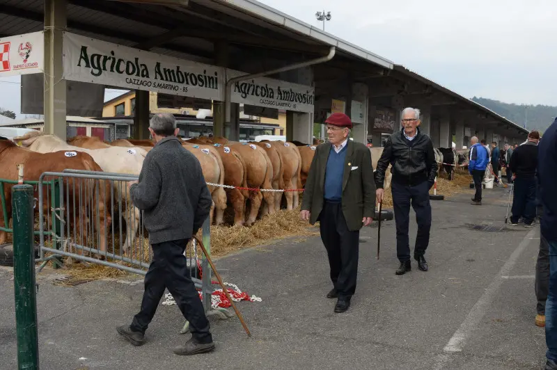 In piazza con noi a Lombardia Carne