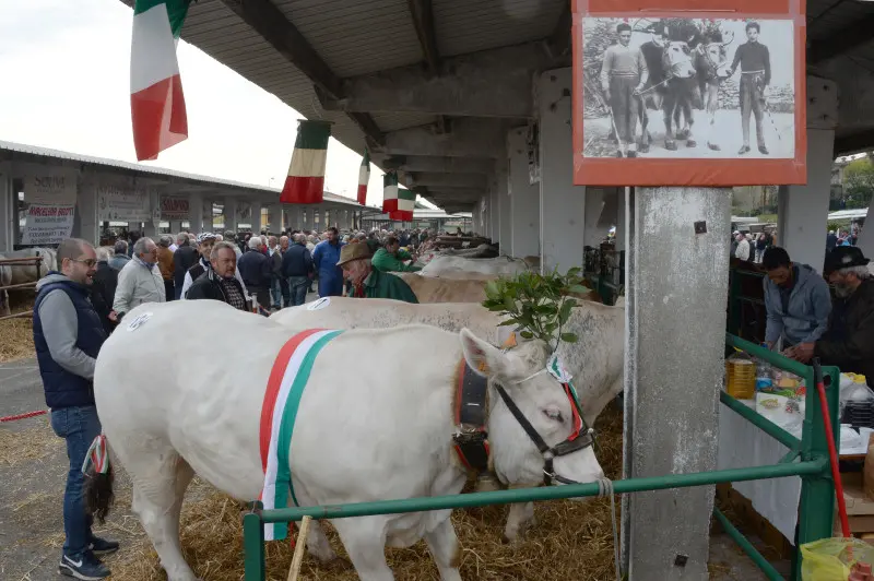 In piazza con noi a Lombardia Carne