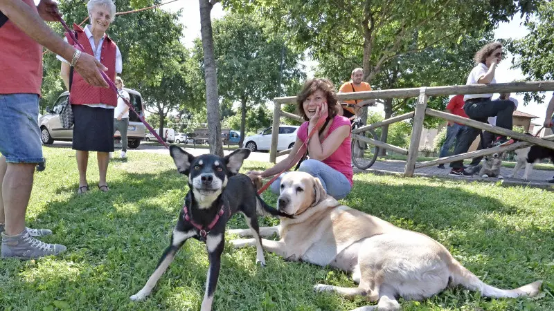 In Porta Milano gli Amici a quattro zampe