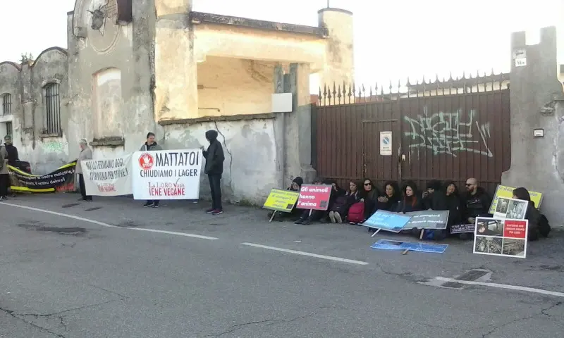 I manifestanti fuori dal Macello comunale di Rovato - © www.giornaledibrescia.it