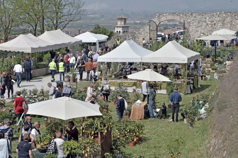 Fiori nella rocca a Lonato