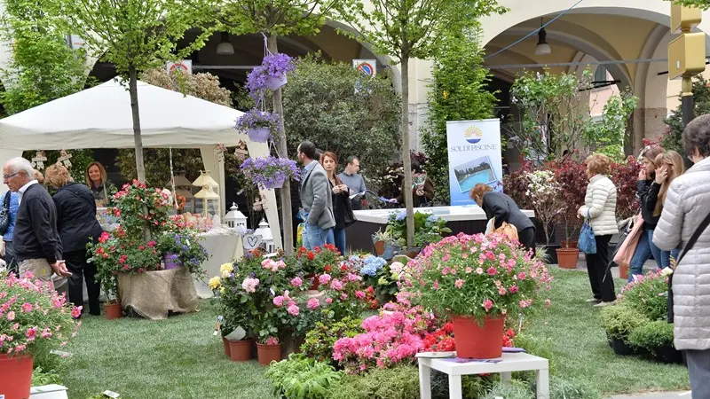 L'edizione 2015 di  Brixia Florum