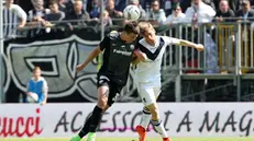 Ascoli-Brescia 0-0