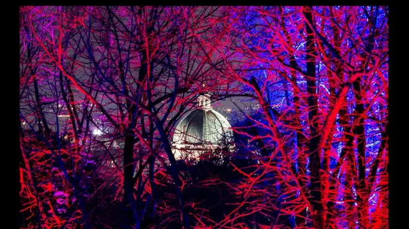 Una delle fotografie dello speciale Zoom dedicato a Cidneon.