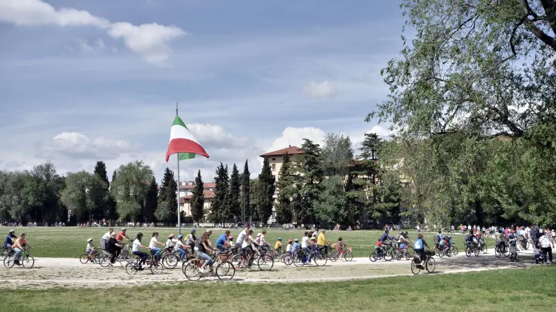 Bimbinbici