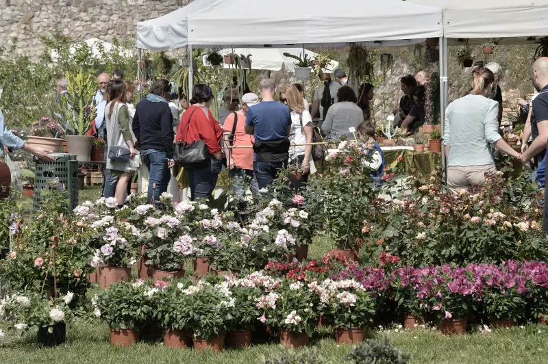 Fiori nella rocca a Lonato