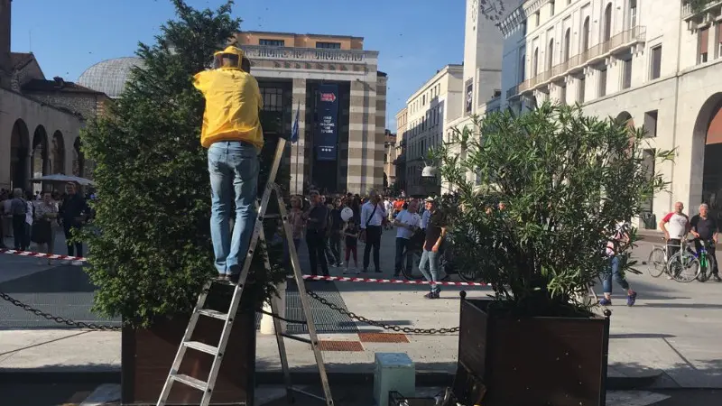 Piazza Vittoria, il nido d'api omaggio alla Mille Miglia?