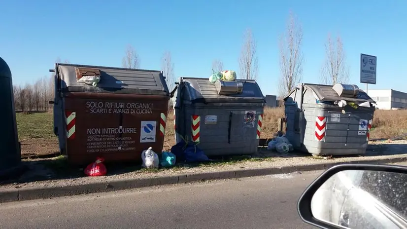 Fuori cassonetto, la "collezione" di Francesca