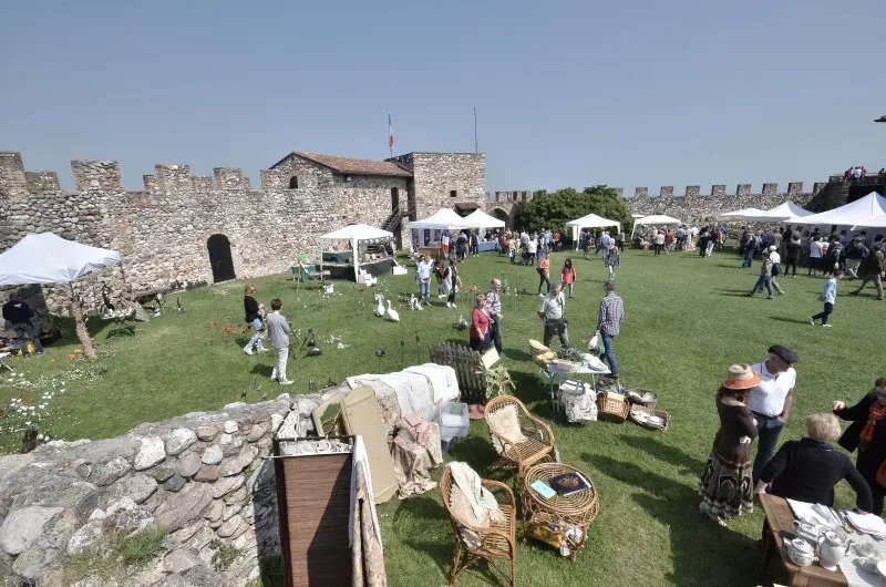 Fiori nella rocca a Lonato