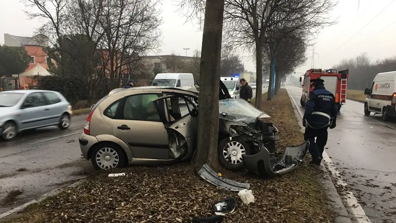 Via Maggia, auto fuori strada finisce contro un albero