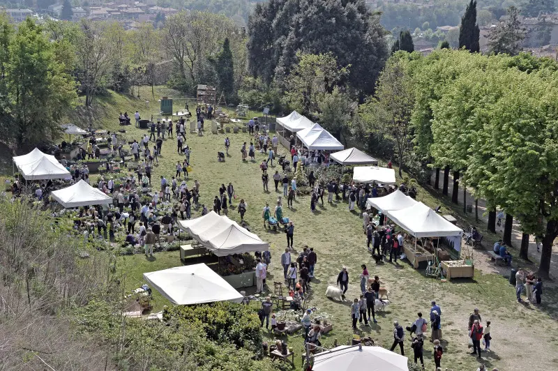 Fiori nella rocca a Lonato