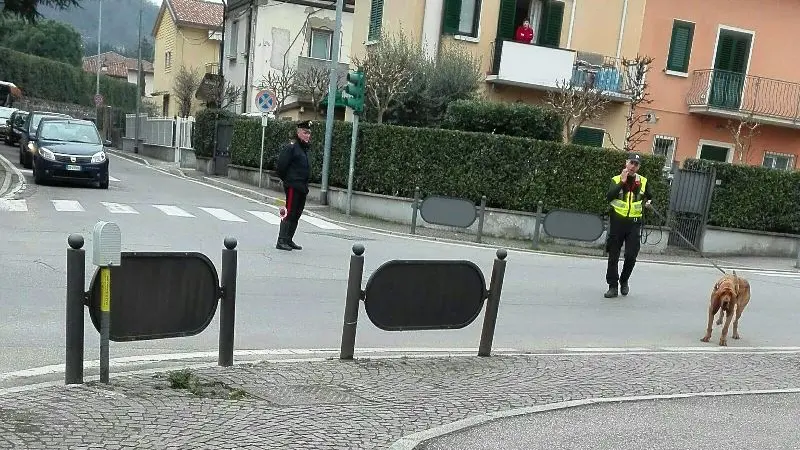Cani molecolari e carabinieri a Gussago