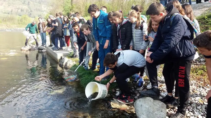 Gli studenti delle scuole medie caffaresi alle prese con gli avannotti