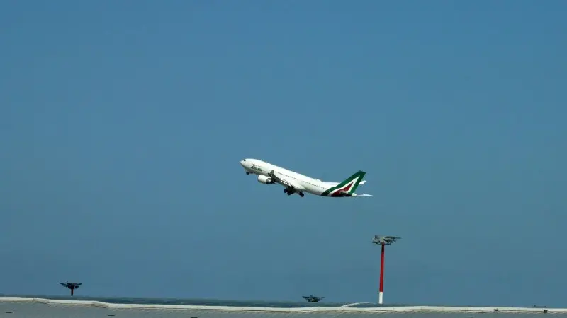 Alitalia, da compagnia di bandiera al referendum