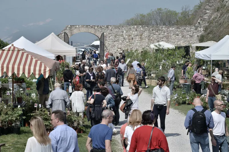 Fiori nella rocca a Lonato