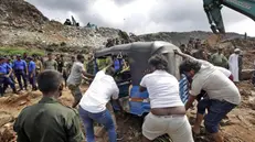 I soccorritori a Colombo - EPA/M.A.PUSHPA KUMARA