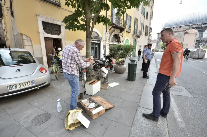 Sciame d'api in città, in via San Faustino