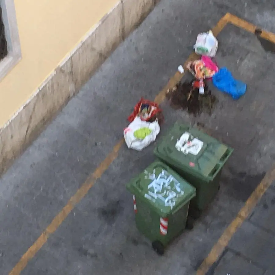 La spazzatura in via Battaglie
