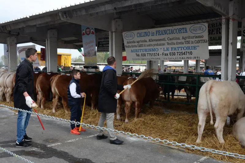 In piazza con noi a Lombardia Carne