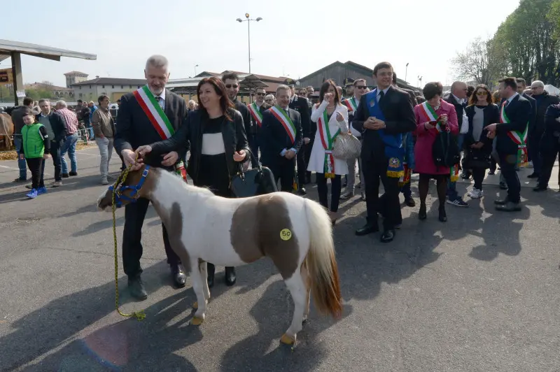 In piazza con noi a Lombardia Carne