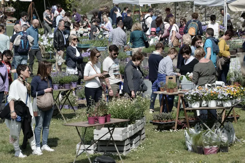 Fiori nella rocca a Lonato