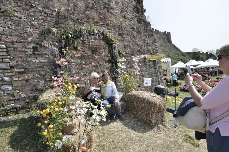 Fiori nella rocca a Lonato