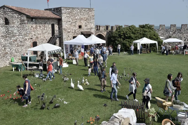 Fiori nella rocca a Lonato