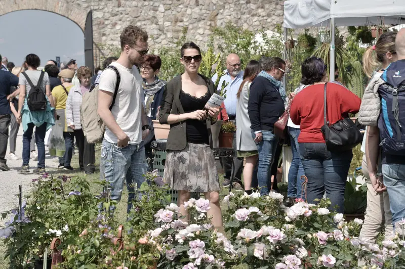 Fiori nella rocca a Lonato