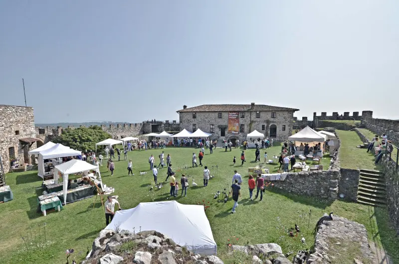 Fiori nella rocca a Lonato