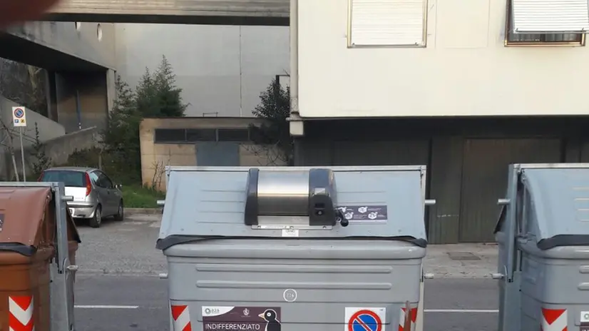 Rifiuti abbandonati in strada