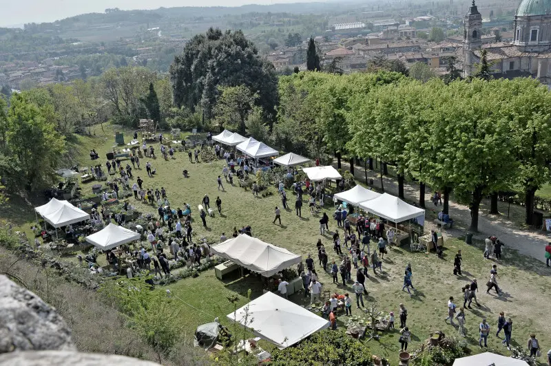 Fiori nella rocca a Lonato