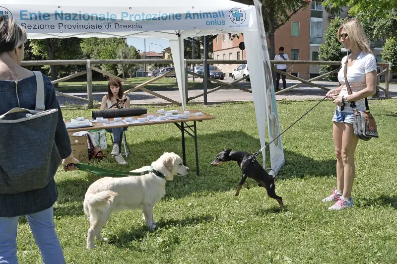 In Porta Milano gli Amici a quattro zampe