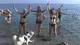 Il tuffo di Capodanno del 2016