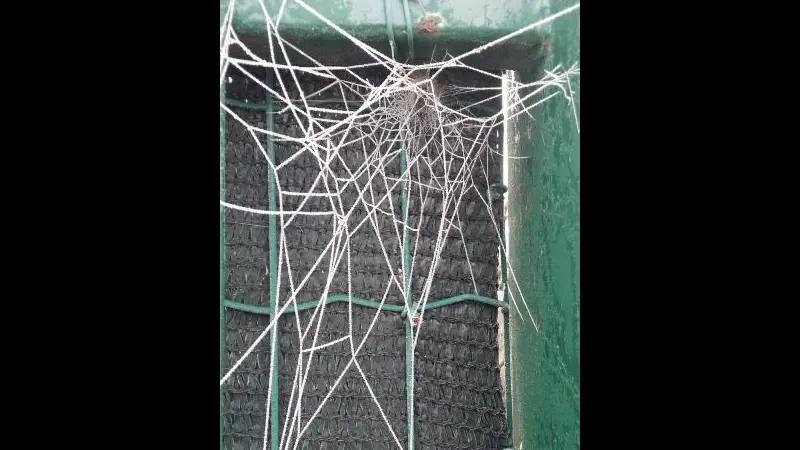 Le foto dei lettori /1